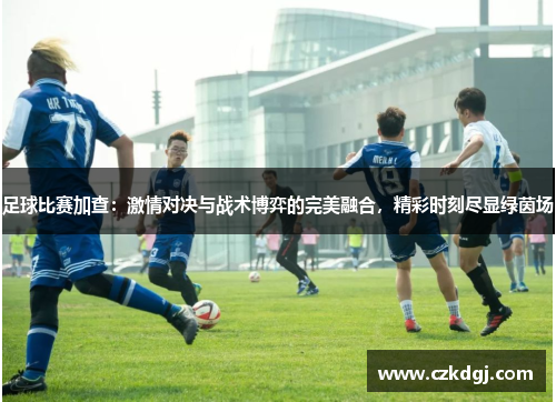 足球比赛加查：激情对决与战术博弈的完美融合，精彩时刻尽显绿茵场
