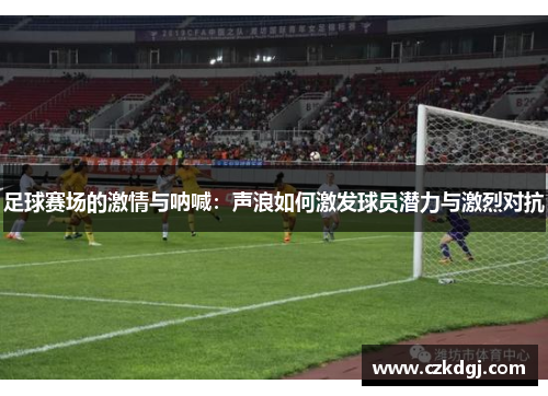 足球赛场的激情与呐喊：声浪如何激发球员潜力与激烈对抗